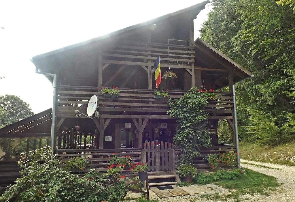 Cabana La noi-1